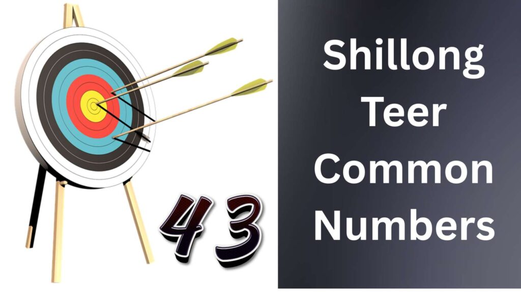 Shillong Teer Common Numbers